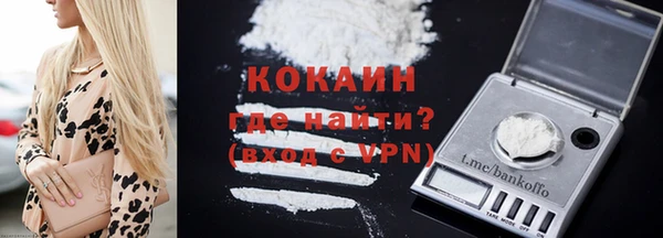 спайс Алзамай