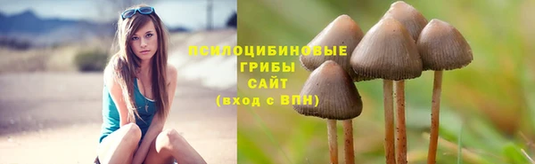 гашиш Саяногорск