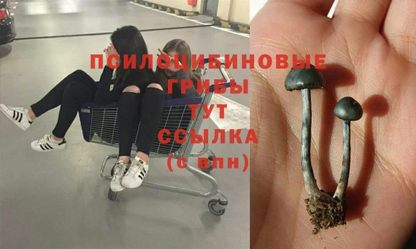 гидропоника Алексин